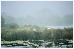 003 Higher Kingcombe  The Lodge - Misty Morning