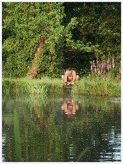 005 Higher Kingcombe  The Lodge - Caught a Fish