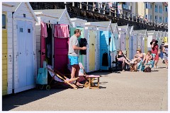 015 Lyme Regis  Seagulls enjoying the View from the Works on the Beach