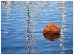 021 Lyme Regis  A Practice Night