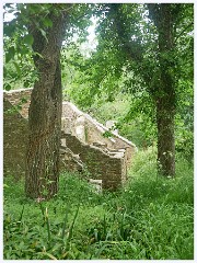 013 Tyneham Village  Another Building through the Trees