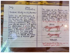 017 Tyneham Village  Ethels' Workbook