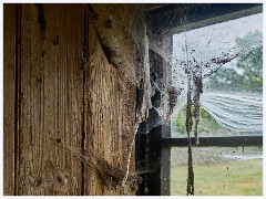 022 Tyneham Village  Cobwebs