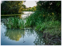 Hinchingbrooke Country Park - September