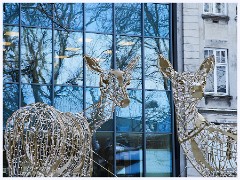 019 Norway  Christmas in Trondheim