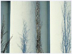 031 Norway  Polar Express Journey