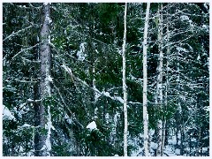 034 Norway  Polar Express Journey