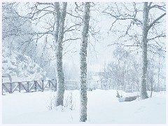 044 Norway  Stoping at a Cafe with a Snowy Garden