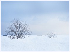 053 Norway  Our Journey to Nusfjord