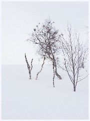 090 Sweden  Snowy Camp Ripon at Kiruna