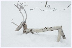 097 Sweden  Sami Village