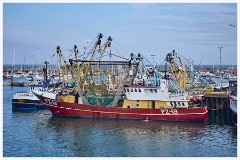 014 South Devon - Brixham  Brixham Fishing Fleet