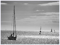 027 South Devon - Dartmouth  Sailing Ships at Sea