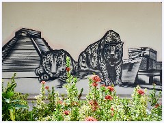 010 Cozumel Mexico  Murals