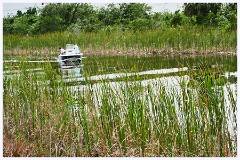 001 Fort Lauderdale  The Wetlands