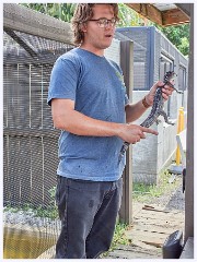 005 Fort Lauderdale  Baby Alligator