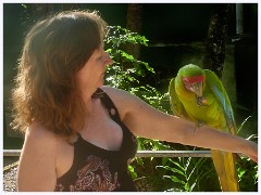 001 Roatan  Jenn with Parrott