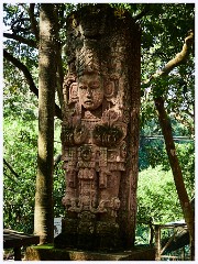 013 Roatan  Monkey and Sloth Sanctuary