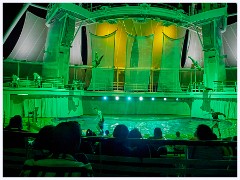 020 The Symphony of the Seas  The HiRO Water Show