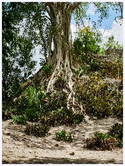 015 Dzibanche and Kohunlich  Dzibanche