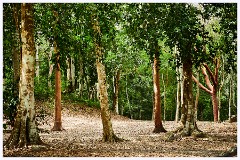 021 Dzibanche and Kohunlich  Dzibanche