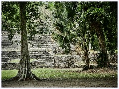 024 Dzibanche and Kohunlich  Some of the Many Steps