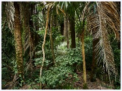 048 Dzibanche and Kohunlich  Kohunlich Grounds