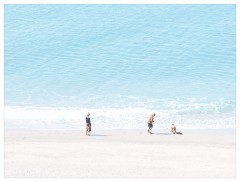 003 Dorset   May and June 2023  Hive Beach