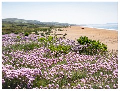 Day 1 Burton Bradstock