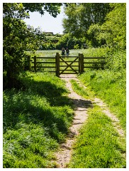 008 Dorset   May and June 2023  Burton Bradstock Village
