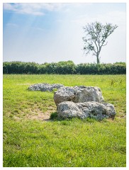148 Dorset   May and June 2023  Kingston Russell Stone Circle