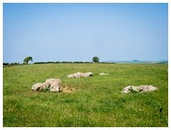 149 Dorset   May and June 2023  Kingston Russell Stone Circle