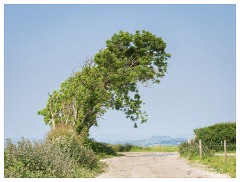 150 Dorset   May and June 2023  Kingston Russell