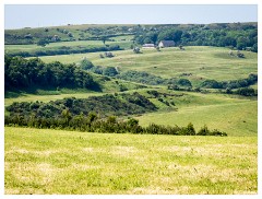 151 Dorset   May and June 2023  View from Kingston Russell