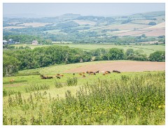 156 Dorset   May and June 2023  View from Kingston Russell