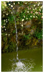 050 Dorset   May and June 2023  Mapperton Gardens - Small Fall of Water