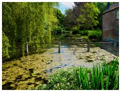 067 Dorset   May and June 2023  Cerne Abbas - Village Pond