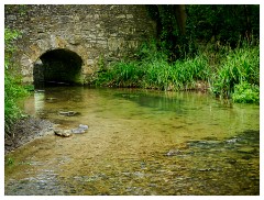 069 Dorset   May and June 2023  Cerne Abbas - The local Stream