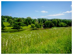 081 Dorset   May and June 2023  Minterne Gardens
