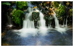 Day 5 Cerne Abbas and Minterne Gardens