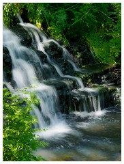 090 Dorset   May and June 2023  Minterne Garden