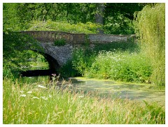 091 Dorset   May and June 2023  Minterne Garden