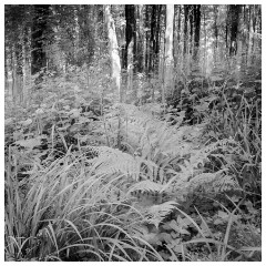 Day 6 Hook Park and Kingcombe Centre and Higher Kingcome Lodge