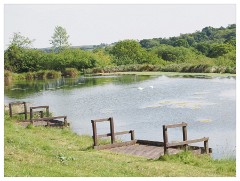 121 Dorset   May and June 2023  Higher Kingcombe Lodge Top Lake