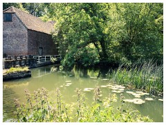 123 Dorset   May and June 2023  Sturminster Mill