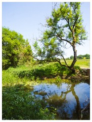 125 Dorset   May and June 2023  Sturminster Mill