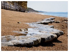129 Dorset   May and June 2023  Hive Beach