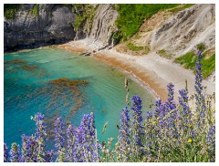 Day 9 Durdle Door and Lulworth Cove