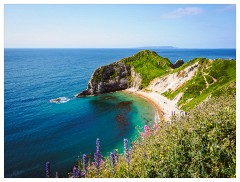 139 Dorset   May and June 2023  Man O'War Beach