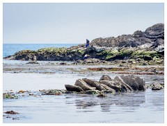 142 Dorset   May and June 2023  Lulworth Cove